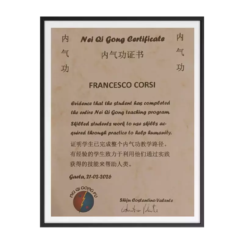 Nei Qi Gong Certificate Francesco Corsi